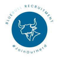 Blue Bull Recruitment Ltd