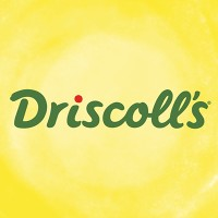 Driscoll's