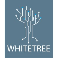 Whitetree