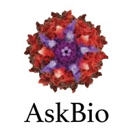 Asklepios BioPharmaceutical, Inc. (AskBio)