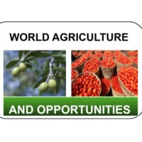 World Agriculture & Opportunities