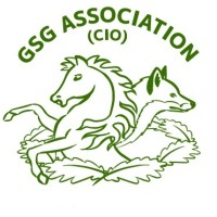 Green Street Green Association