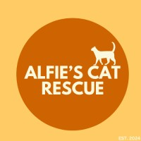 Alfie's Cat Rescue