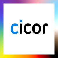 Cicor Group
