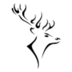 Balmoral Group
