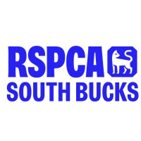 RSPCA South Bucks